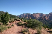 05 - Zion NP (14)